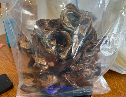 Eja Panla Kika (Small)