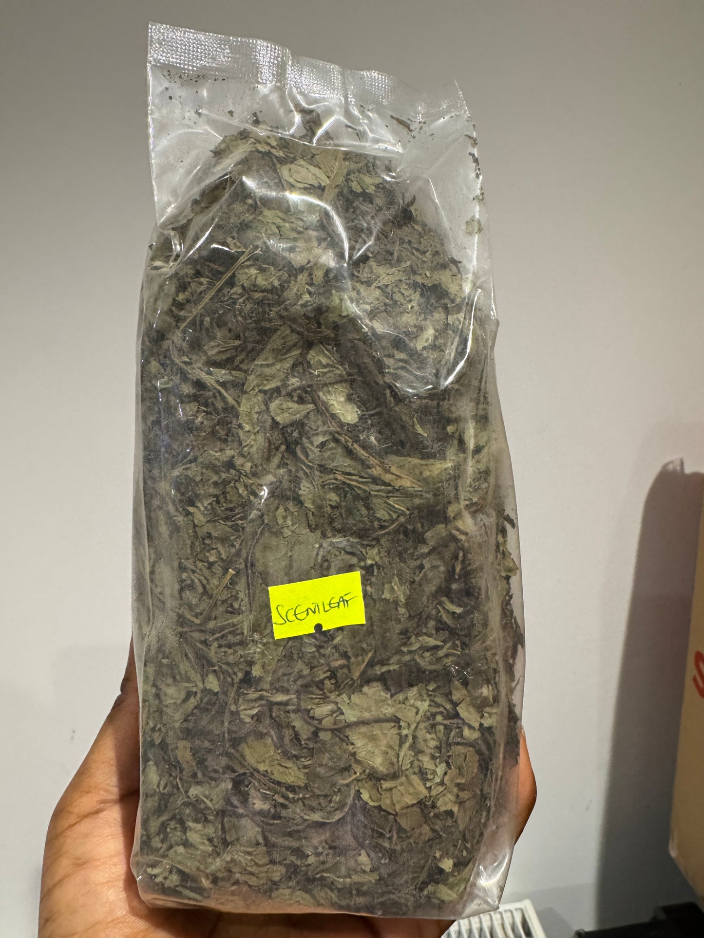 Freshly dried Scent leaves