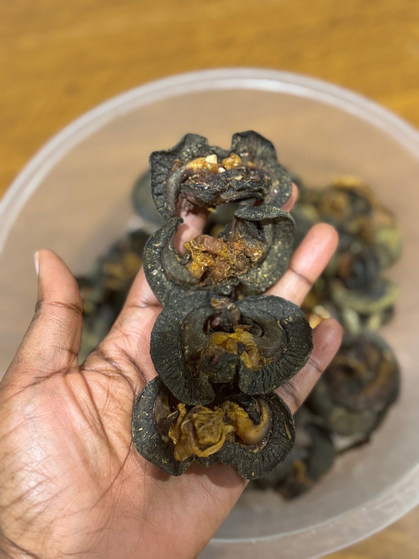 Dried Washed Snail