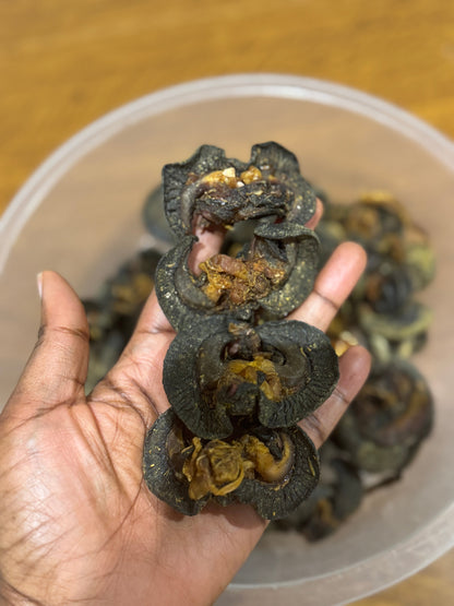 Dried Washed Snail