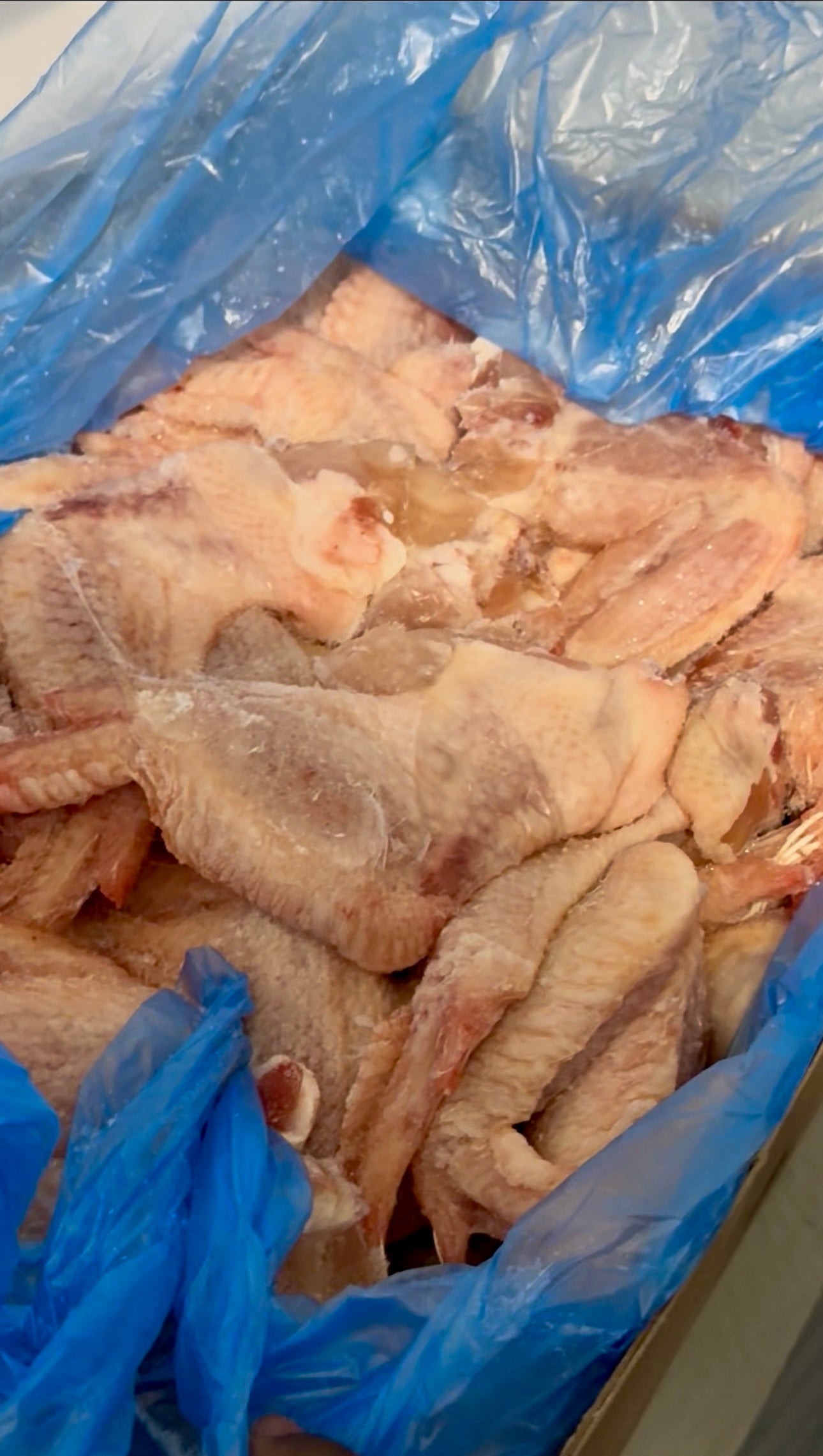 Fresh Frozen Hard Chicken Wings