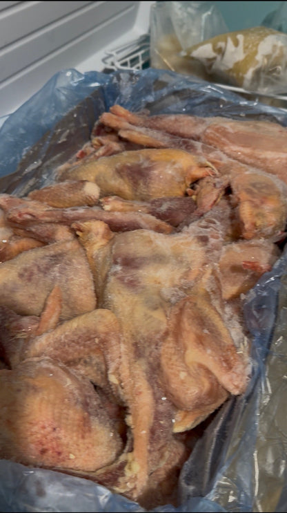 Whole Hard Chicken- Frozen