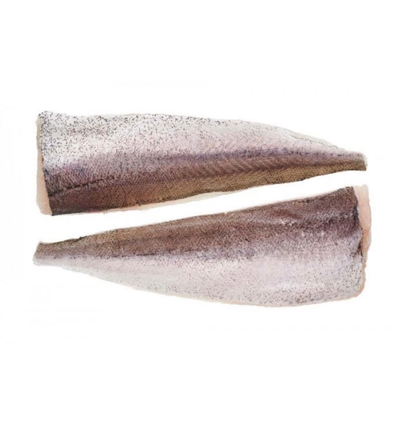 Premium frozen Hake fish (headless)- 800/1200