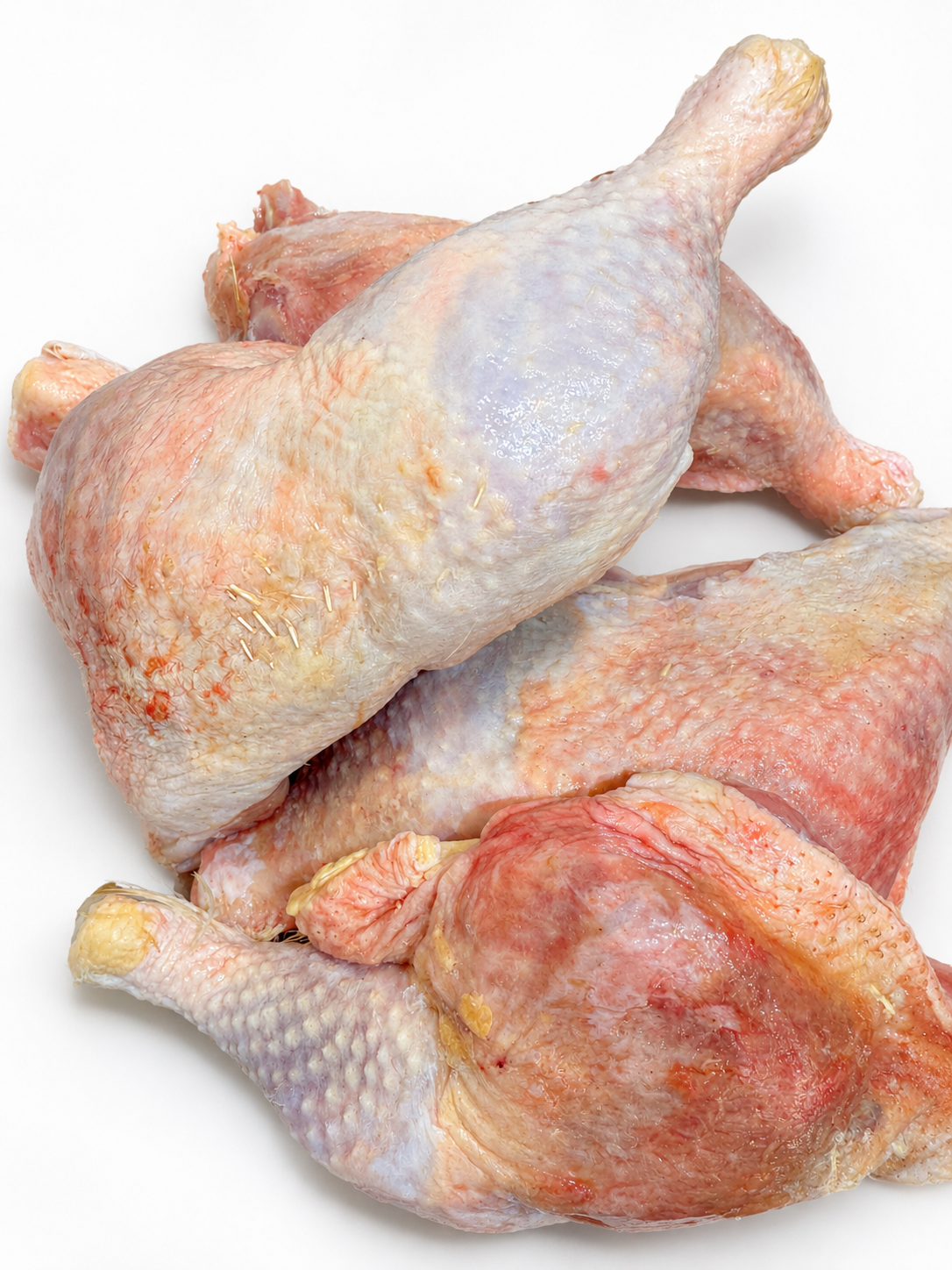 Fresh Frozen Jumbo Hard Chicken Leg and Thigh